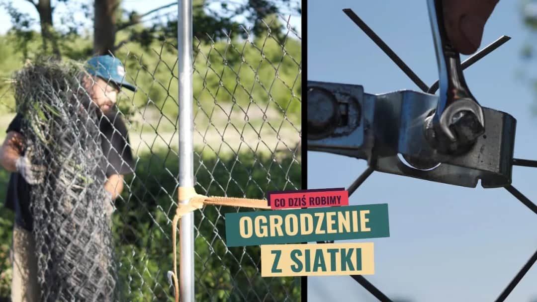 Jak zrobić ogrodzenie z siatki - proste kroki, które musisz znać