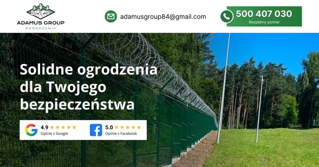 Co zamiast tui na ogrodzenie? Odkryj najlepsze rośliny alternatywne